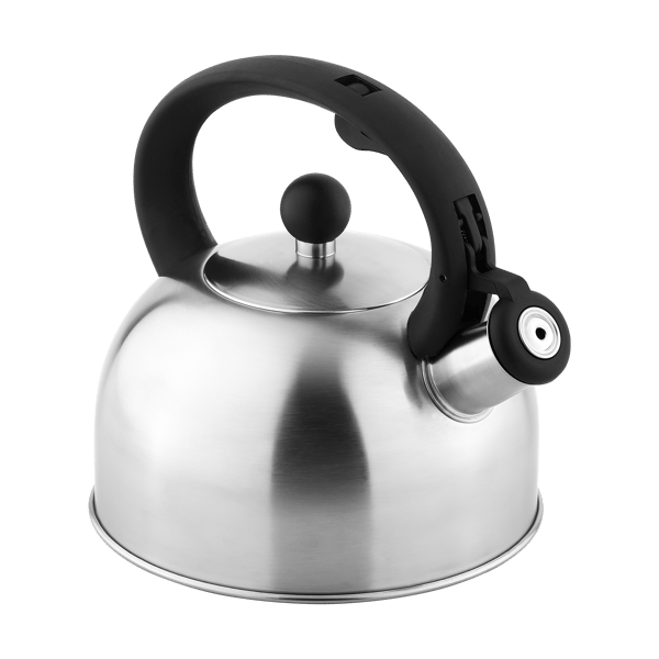 Teesa rustfrit stålkande med fløjt 2L gas induktion