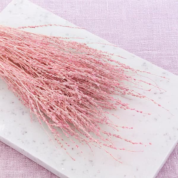 Lepidium (Lepidium sativum) - Rosa