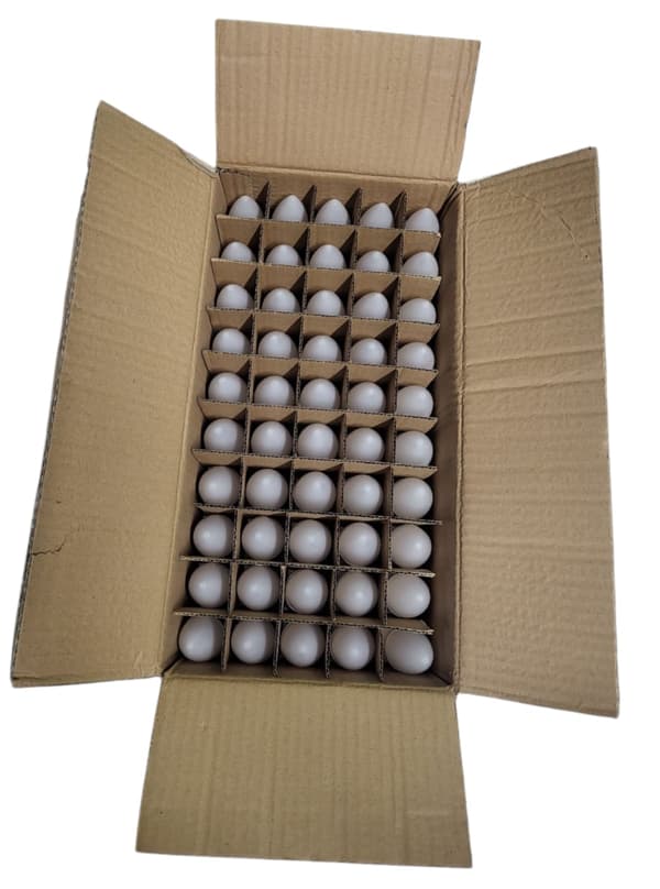 LED Kertepære E14 6W 4000K YOOKOHAMA Karton 100 stk