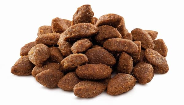 Brit Premium By Nature Sport torrfoder för hundar 15 kg