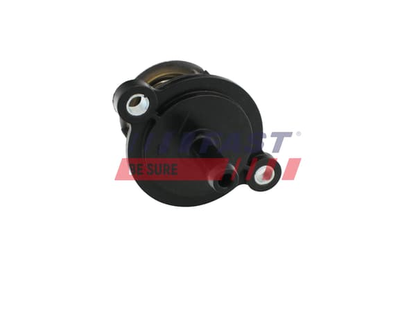 TERMOSTAT FT58030 FAST