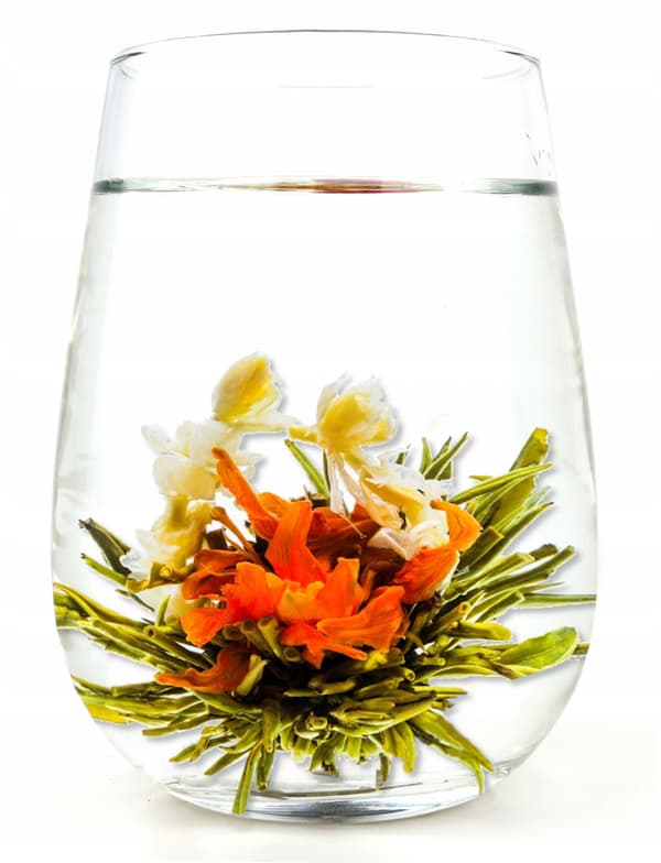 Blomstrende te Blomst af Håb lilje jasmin