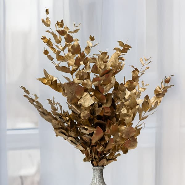 Stabiliseret eukalyptus - Cinerea - Gylden