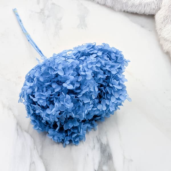 Stabiliseret hortensia (Hydrangea Cabeza) - Kongeblå -