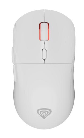 Mus GENESIS Zircon XIII Vit