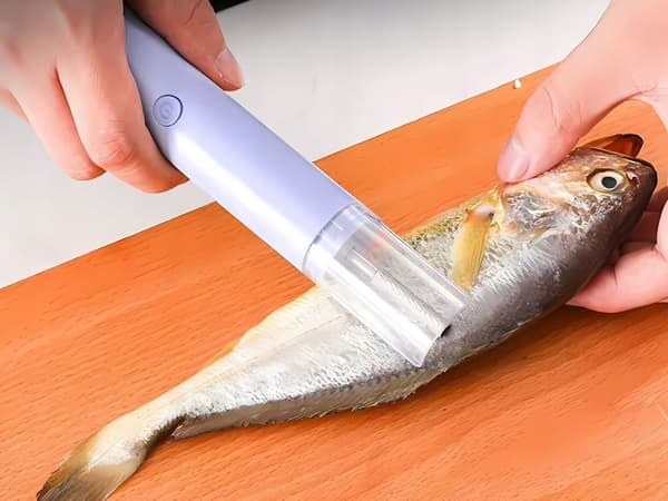 Fiskaaliköynnös 120