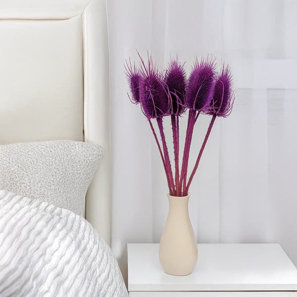 Kuivattu ohdake - (Teasel) - violetti