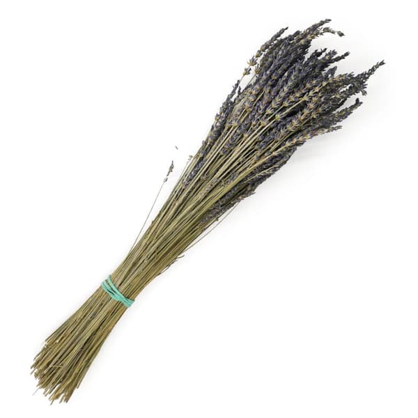 Torkad lavendel (Lavandula intermedia)