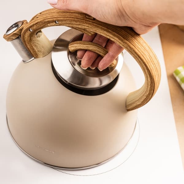 STÅLKEDEL MED FLØJTE 2,5L KLAUSBERG KB-7913
