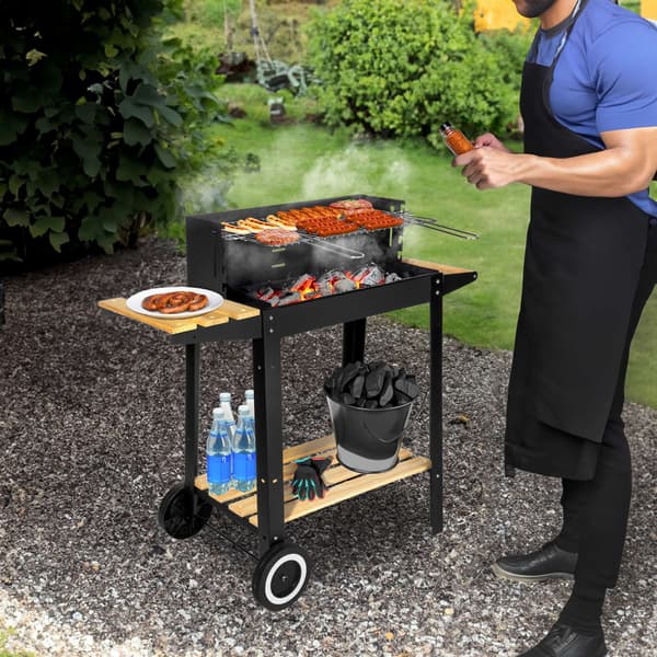 PARIL havekulgrill på hjul