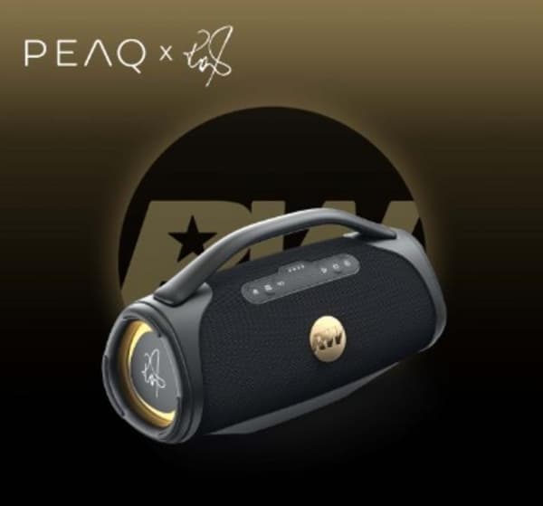 Bluetooth-højttaler Peaq Iconic Vibe 4 PPA 700-Rw Sort
