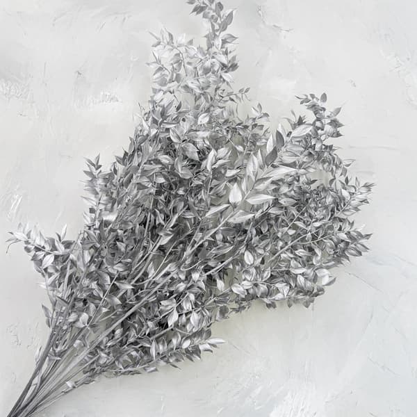 Tørret Ruscus - (Ruscus) - Sølv
