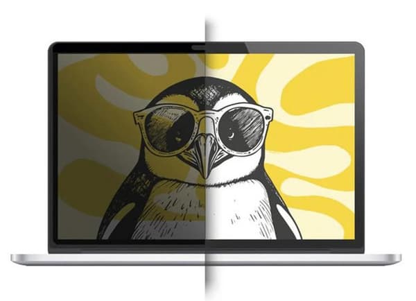 DOODROO Privacy Windows integritetsskydd 13 tum transparent