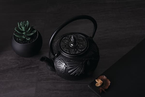 STØBEJERN INFUSER 800ml BERLINGER HAUS BH-7802