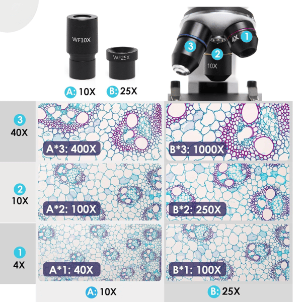 Techrebal BioVision 2000x biologisk mikroskop