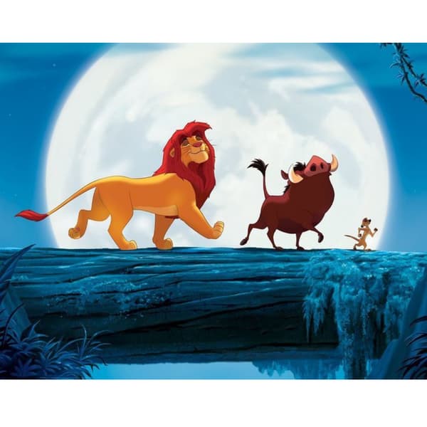 Målning med siffror Lejonkungen Hakuna Matata 50x40 cm