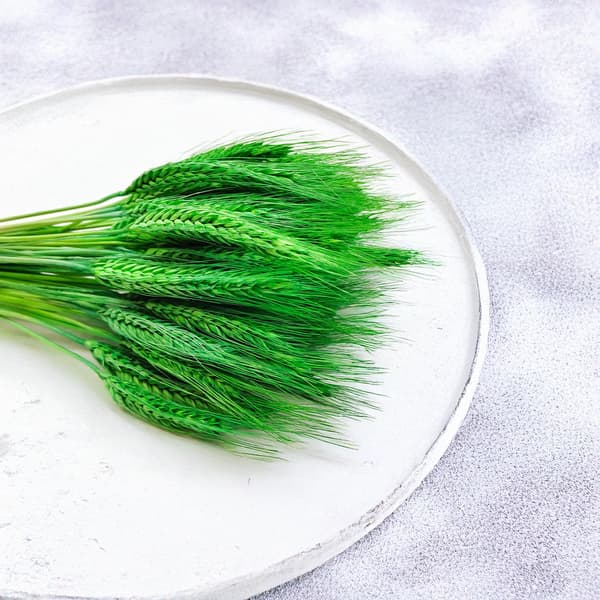 Tørret triticale - Grøn