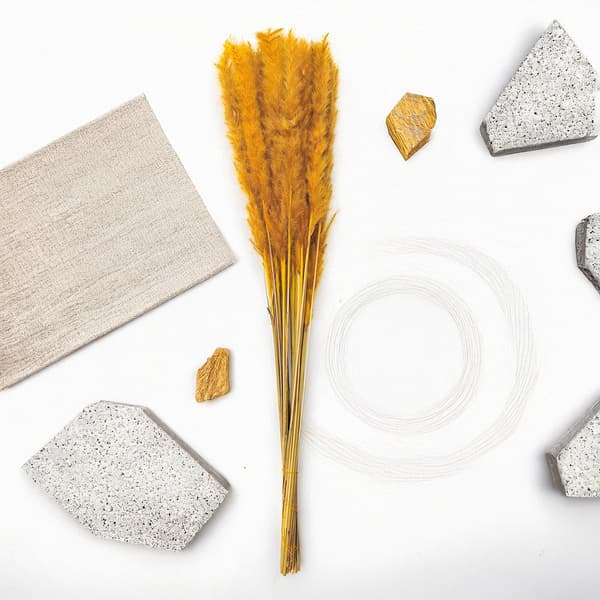 Mini Pampas-ruoho - sinappi