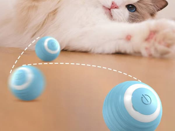 Automatisk boll för katt (200)