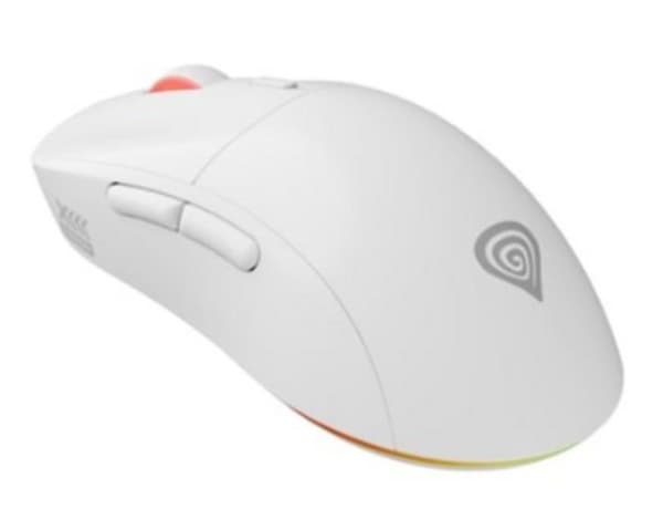 Mus GENESIS Zircon XIII Vit