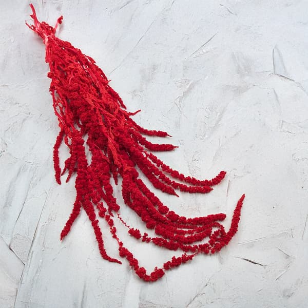 Stabiliserad amarant - Amaranth - Röd