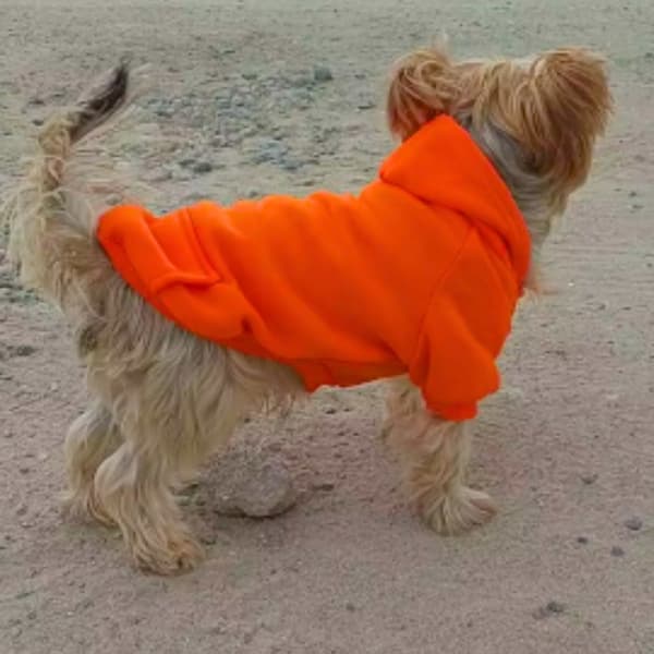 Hundjacka med huva vadderad träningsjacka Storlek S