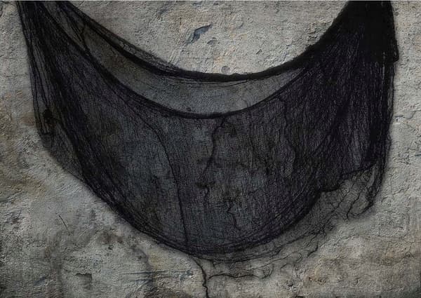 Sort MESH Edderkoppespind Halloween-dug 200x500cm
