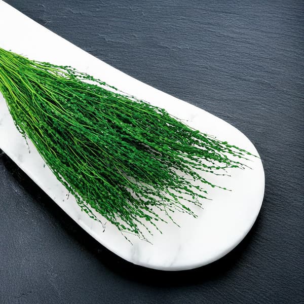 Lepidium (Lepidium sativum) - Grön