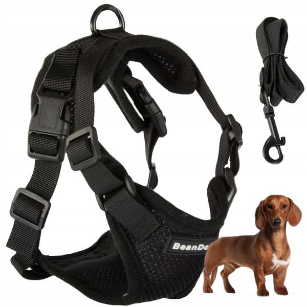 HUNDESELE M INGEN TRYK SORT (100) GAB_A