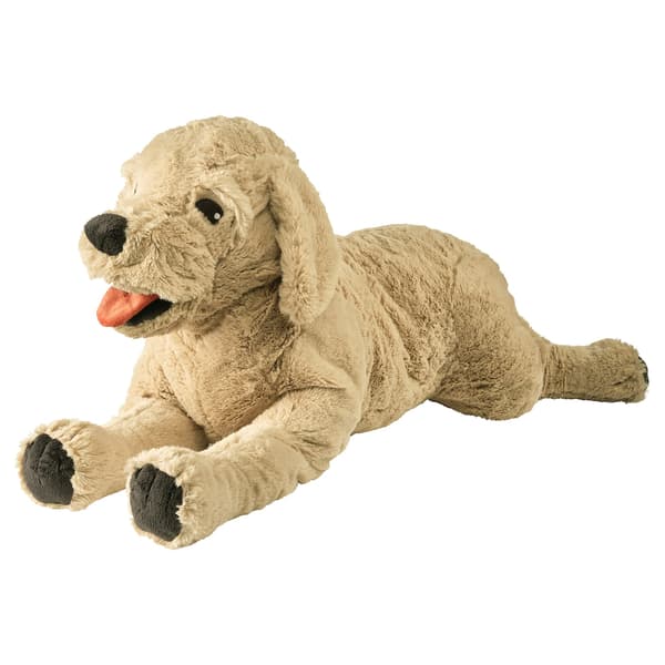 Kultainennoutajakoira, beige, 75 cm