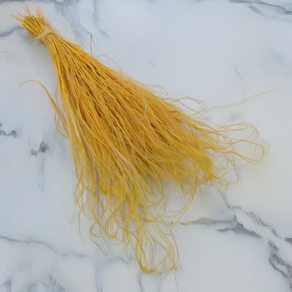 Torkad Stipa - Stipa pennata - Ingefära