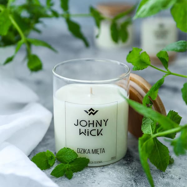 Doftljus med soja - Wild Mint 220g