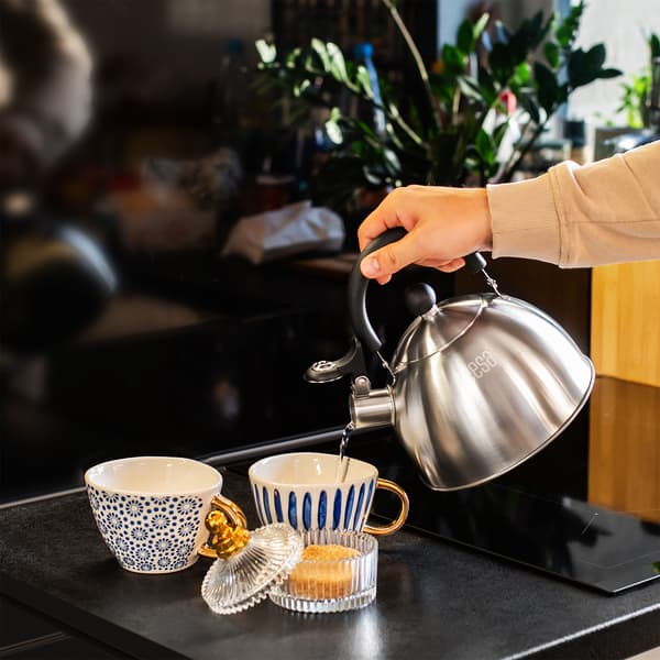 Teesa rustfrit stålkande med fløjt 1,8L gas induktion