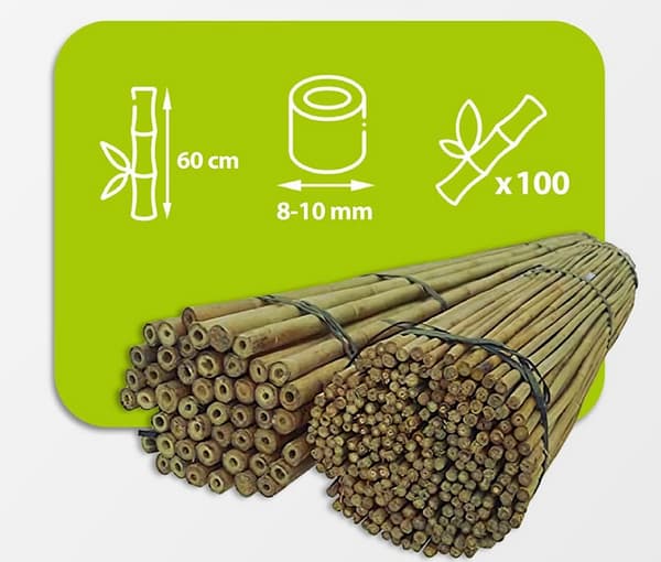 Bambustolpar 60 cm 8/10 mm /100 st/