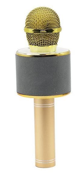 Karaokemikrofon MANTA MIC10-G Guld