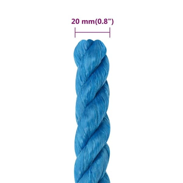 vidaXL Arbetsrep, Blå, 20 mm, 100 m, Polypropylen