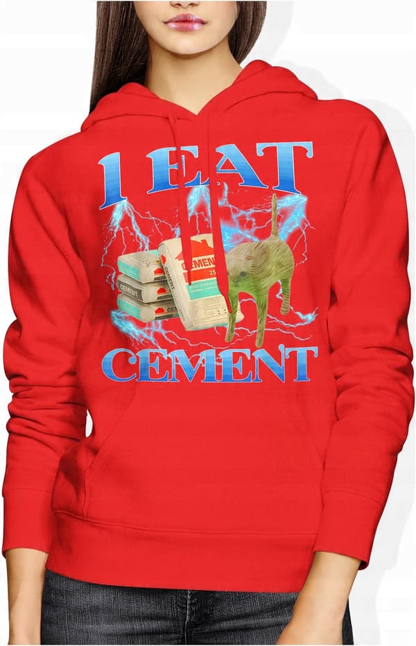 SJOV SWEATSHIRT JEG SPISER CEMENT MEME DAME MEMORY KAT MED KAT M