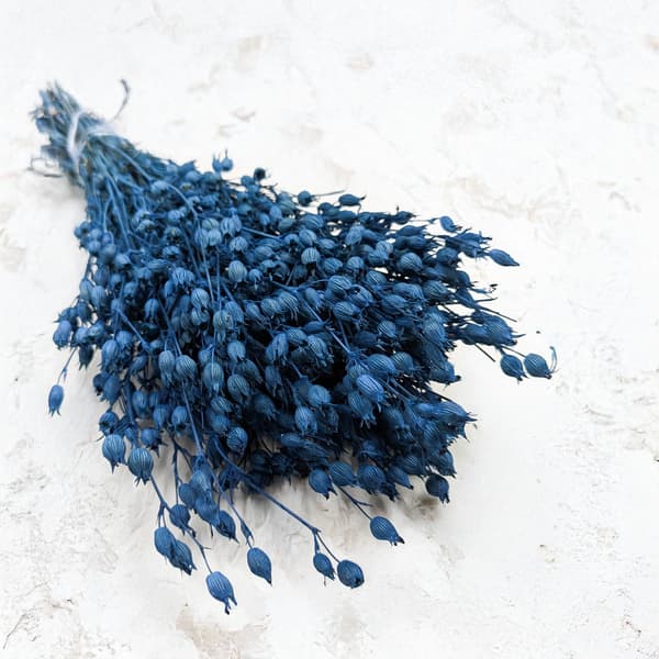 Silene - Sininen