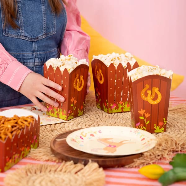 Popcornlådor hästar födelsedag 6 st