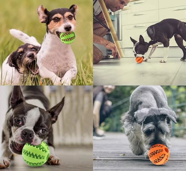 SNACK BOWL - en bold til hundegodbidder