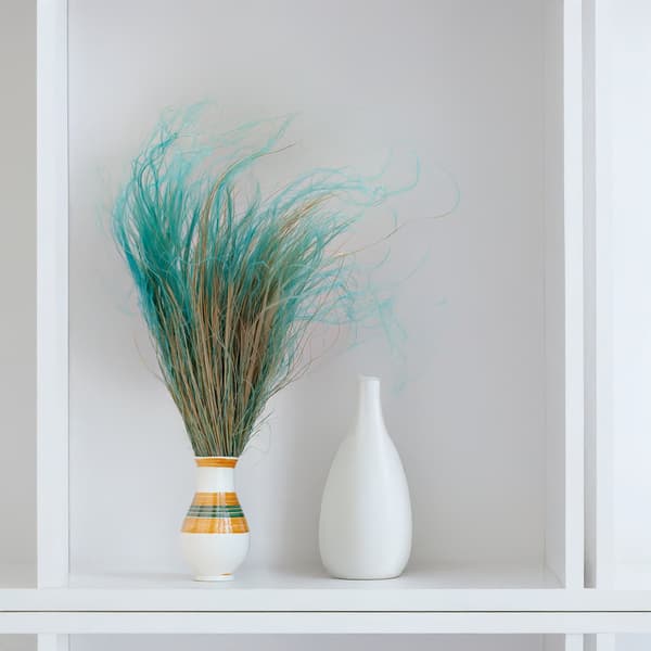 Torkad Stipa - Stipa pennata - Mint