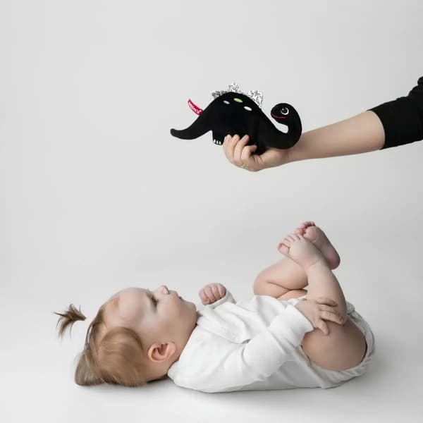 Mom's Care Dinosaur 0+ Kontrast Raslende Sensorisk Klude