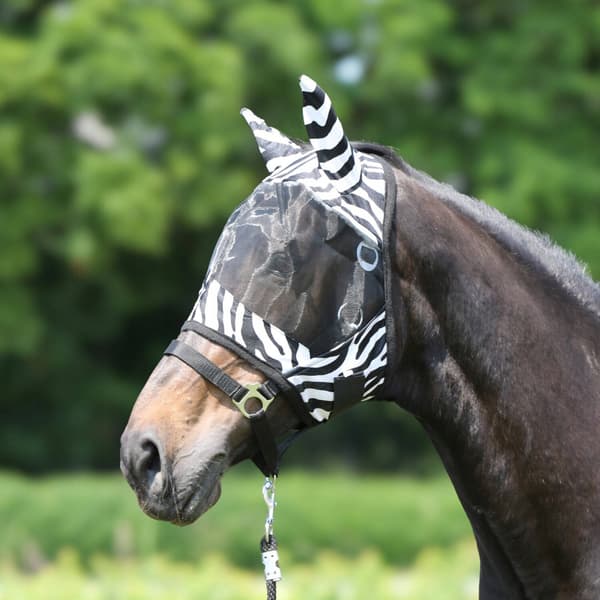 York Zebra Cob -kärpäsmaski - Mukava ja tehokas