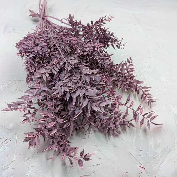 Stabiloitu Ruscus - (Ruscus) - Violetti matta