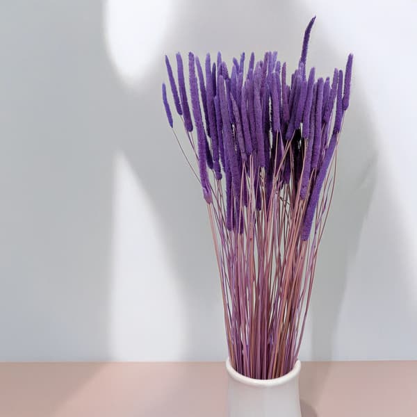 Kuiva ruoho - Timotei (Phleum) - Lila