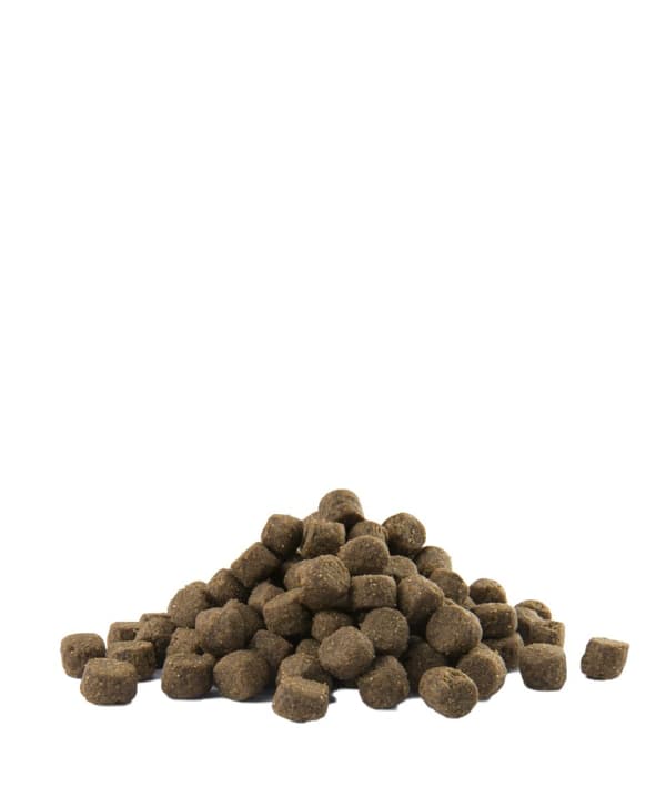 Versele-Laga Adult Digestion torrfoder för hundar 12,5 kg