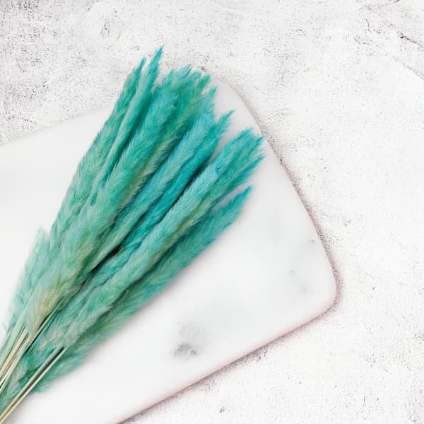 Mini Pampas-ruoho - Azuuri