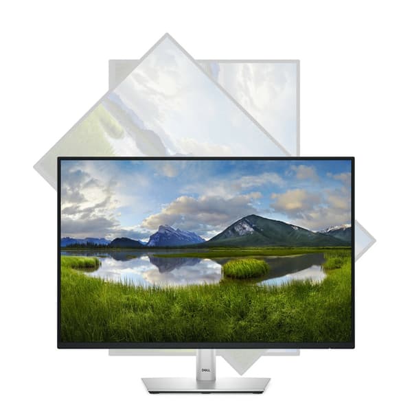 DELL LED 24 P2425 skærm