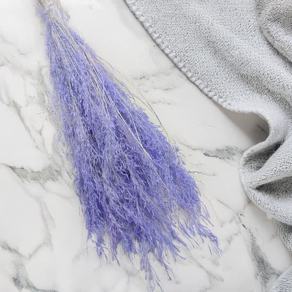 Torkad darrande växt - (Briza Segromigno) - Lavendel