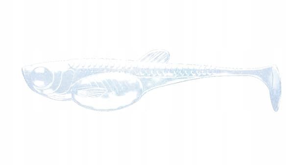 Blød agn Libra Lures Embrion shad 3' 7,5cm ,003 Blå Perle 8 stk